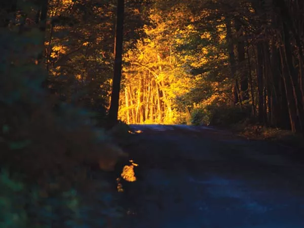 In a photo by Nina Berman, taken in Springville, Susquehanna County, the glow from a methane flare illuminates an otherwise darkened road.