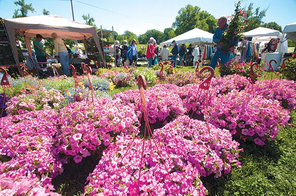 May Market gardening