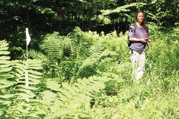 Page 8: Cathy Pedler of the Allegheny Defense Project stands on the site of a proposed gas well in Allegheny National Forest. - PHOTO BY BILL O'DRISCOLL