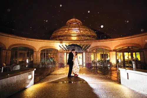 Romance gets a green twist at Phipps Conservatory. - PHOTO COURTESY OF SANDY YETTER, RED LOTUS PHOTOGRAPHY