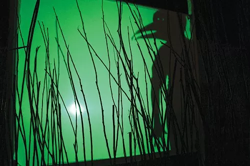 Shadowplay in Birds of America