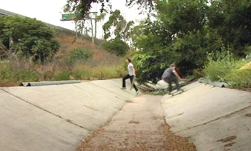 09_sl_whale_film.jpg