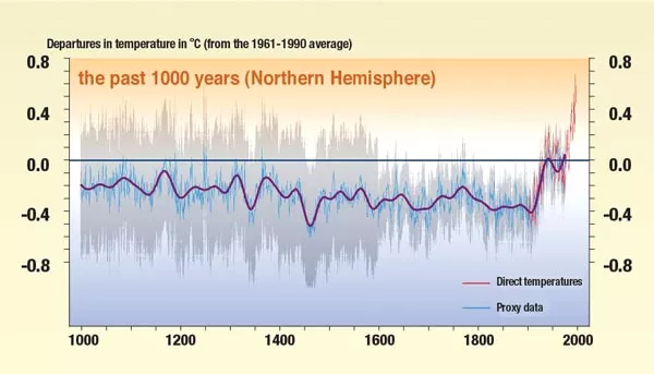 The offending instrument: The 2001 version of the "hockey stick" graph showing anomalously warm late-20th-century temperatures.