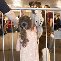 Furries return to Pittsburgh for Anthrocon 2017