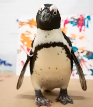 Click the photo above to watch our behind-the-scenes video of Disco painting this week's cover artwork, plus find out how you can win the original artwork!