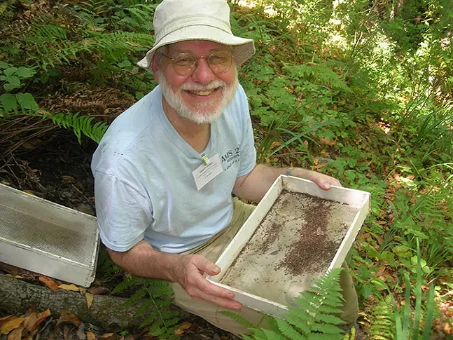Tim Pearce doing field work in California last summer, sieving leaf litter looking for tiny snails - TIM PEARCE