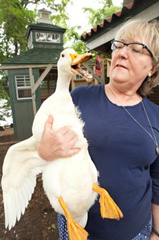 Jody Noble-Choder, of Highland Park, holds one of her Indian Runner ducks. Before today's urban agriculture amendments, Noble-Choder's animals were illegally kept in her yard. - PHOTO BY HEATHER MULL