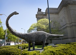 Carnegie Museums celebrate 120 years with online contest