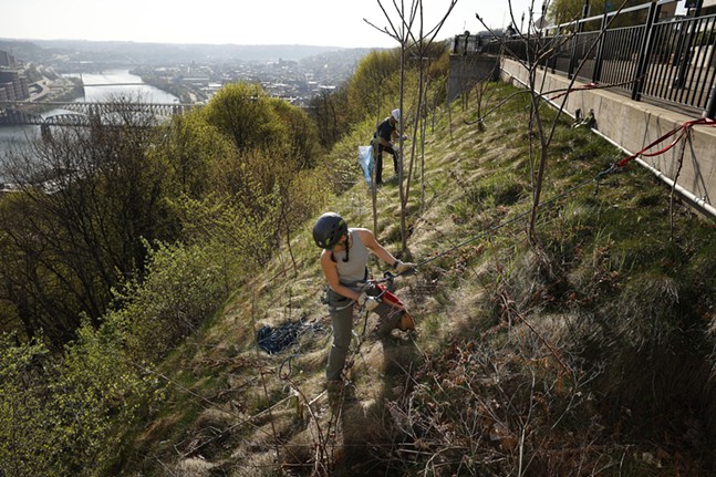 PHOTOS: Pittsburghers rappel down Mount Washington during 28th annual Emerald View Park cleanup (3)