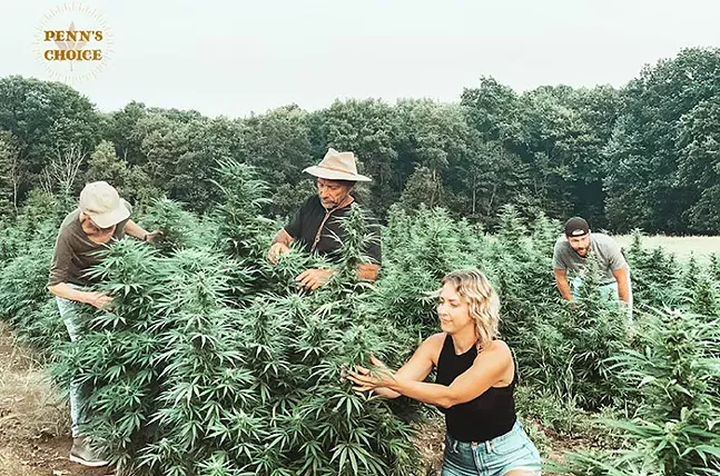 Come harvest time, it’s all hands on deck for the family behind PENN’S CHOICE. Pictured from left to right, owners Betsy Gibson, Joe Gibson, Rebecca Zaccard, and Steve Gibson.