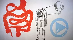 Andy Warhol’s “Physiological Diagram” (1985), in Andy Warhol: My Perfect Body, Oct. 21 at The Andy Warhol Museum - IMAGE COURTESY OF THE ANDY WARHOL MUSEUM