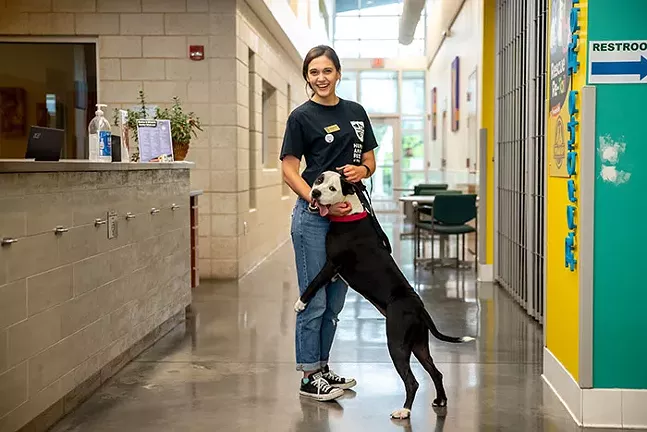How Pittsburgh animal shelters weathered the pandemic