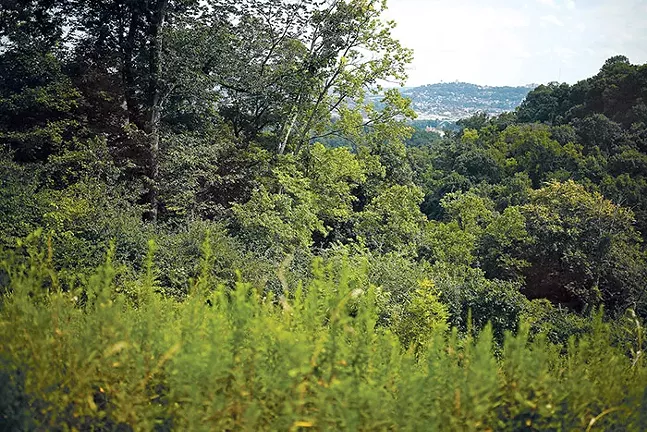 TRALI program protects Pittsburgh’s urban green spaces one garden at a time
