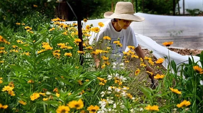 Pittsburgh community garden receives major grant to expand its operations