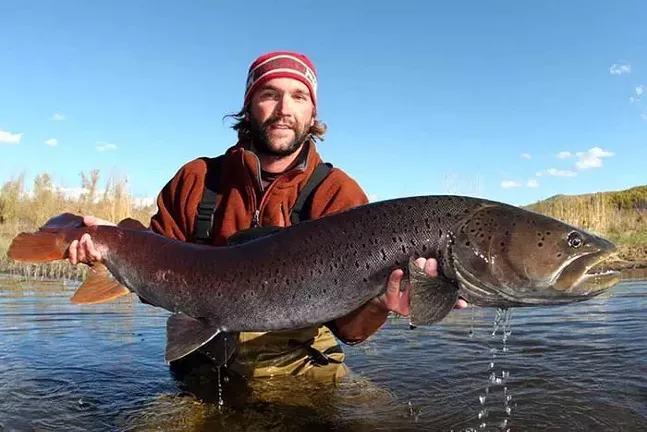 Carnegie Museum of Natural History brings Monster Fish to Pittsburgh