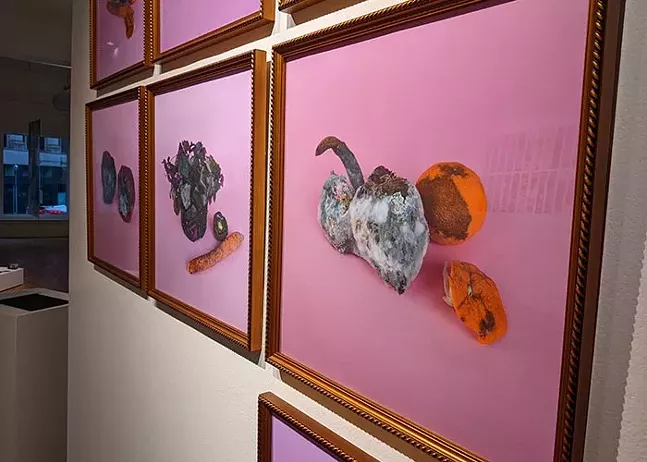 Perfect Time by Tijana Radenković, part of Among Women: Contemporary Art from Serbia - CP PHOTO: AMANDA WALTZ