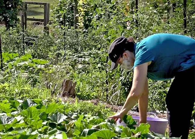 Seven local urban farming projects funded by Department of Agriculture (2)