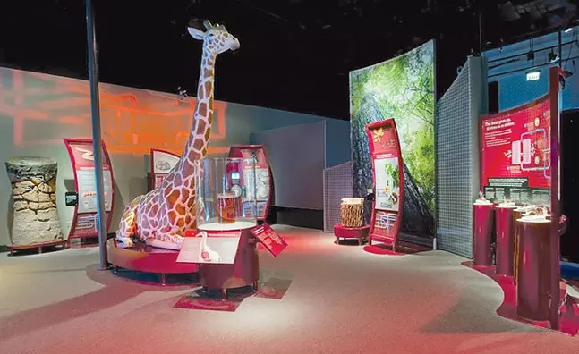 Nature’s Amazing Machines at Carnegie Museum of Natural History - PHOTO: COURTESY OF CARNEGIE MUSEUM OF NATURAL HISTORY