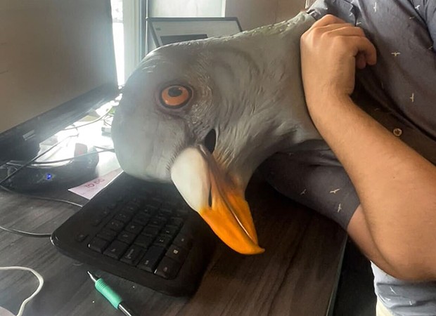 A person wearing a pigeon mask rests its head on a keyboard