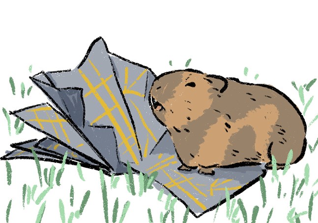 an illustration of a brown guinea pig standing on top of a piece of paper in the grass