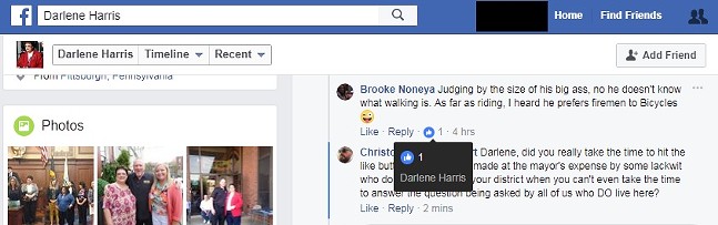 Darlene Harris liking a post with an apparent homophobic joke towards Bill Peduto. - IMAGE COURTESY OF FACEBOOK