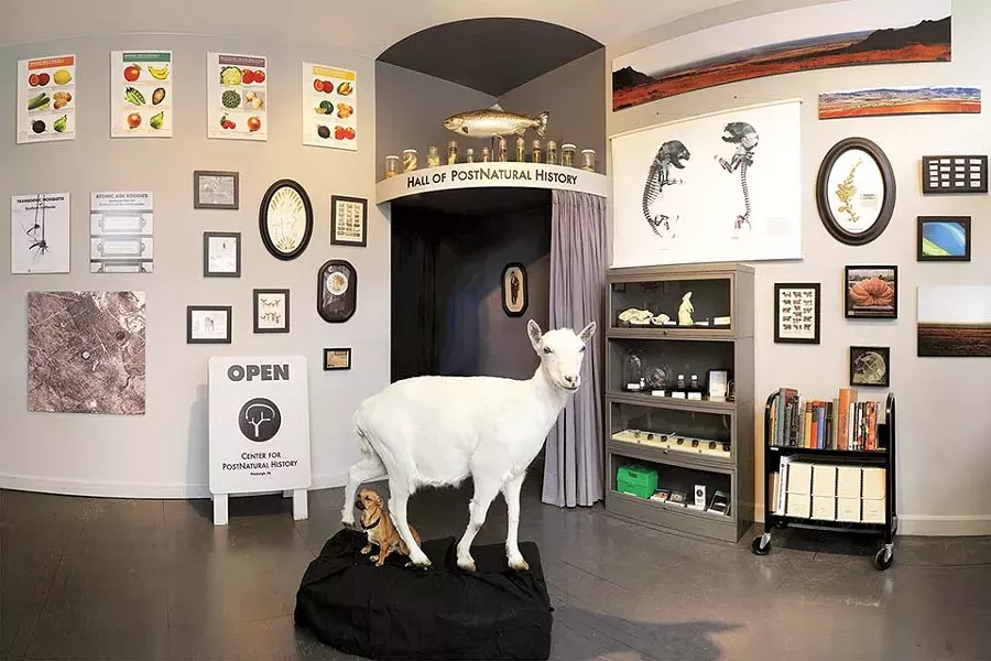 Center for PostNatural History - PHOTO: DROR YARON
