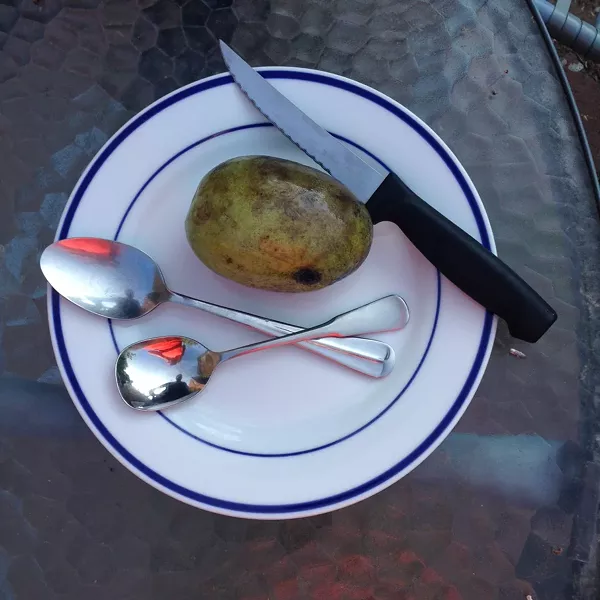 Pawpaw pre-chowdown - CELINE ROBERTS