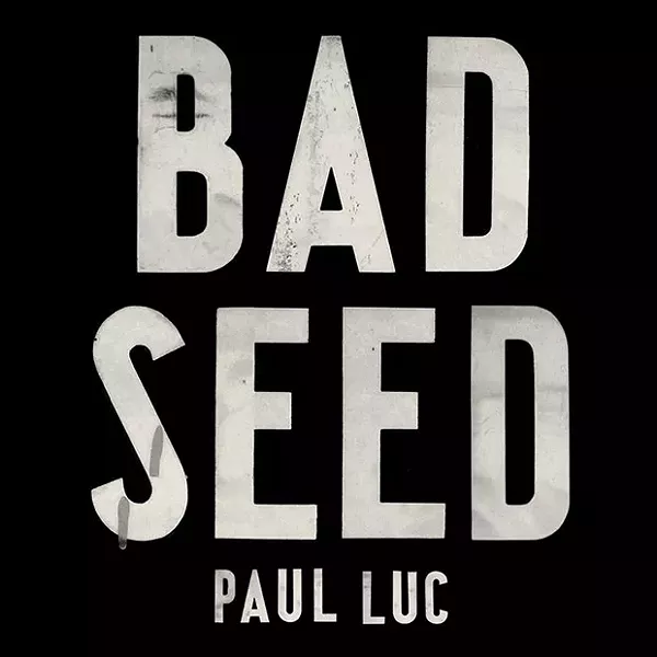 musicside_paulluc_52.jpg