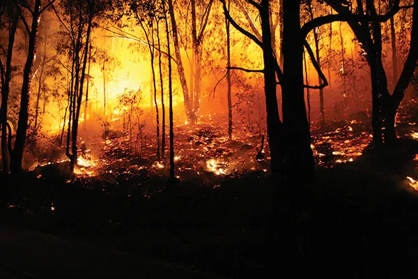 green-light-wildfire.jpg