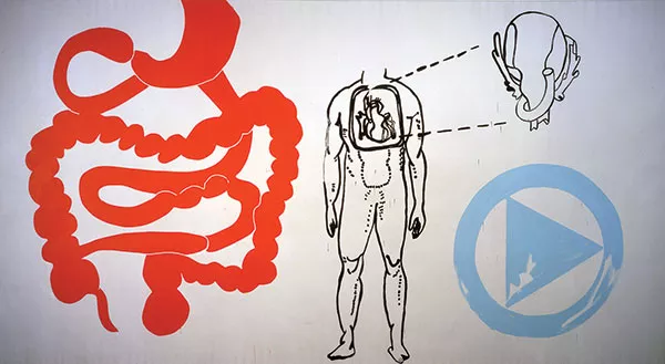 Andy Warhol’s “Physiological Diagram” (1985), in Andy Warhol: My Perfect Body, Oct. 21 at The Andy Warhol Museum - IMAGE COURTESY OF THE ANDY WARHOL MUSEUM