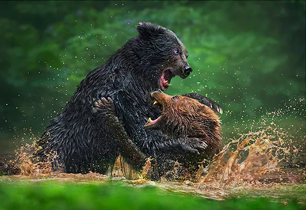 ART BY TSUN IP PATRICK CHOW