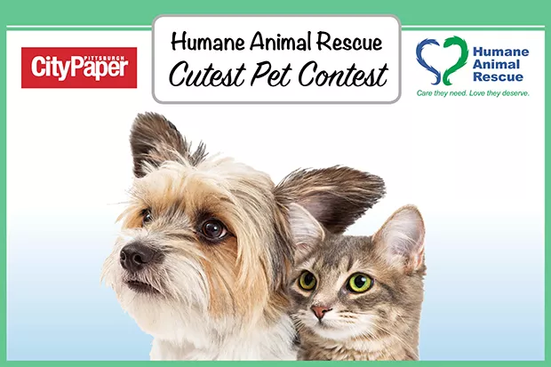 Dogs | Humane Animal Rescue Cutest Pet Contest | Pittsburgh City Paper Dogs | Humane Animal Rescue Cutest Pet Contest | Pittsburgh City Paper