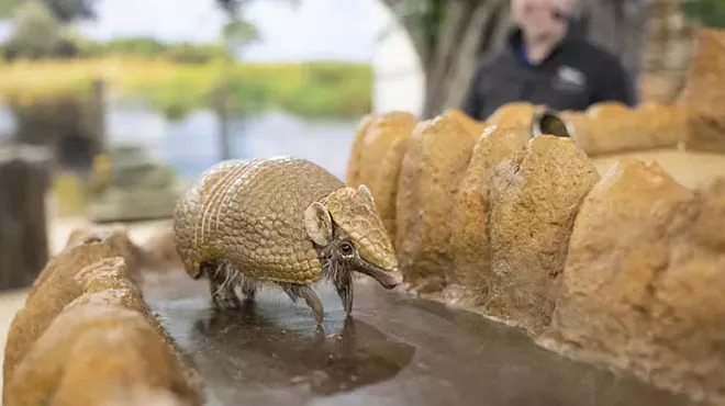 Meet cool raptors and cute creatures at National Aviary's Habitat Heroes live show