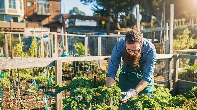 Pittsburgh partners with German city to develop sustainable agriculture policies - Vimarsana News
