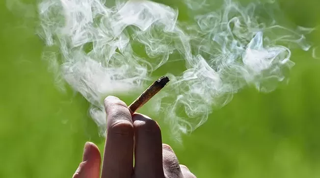 Featured image of post Pa. Supreme Court says warrantless searches not justified by cannabis smell alone