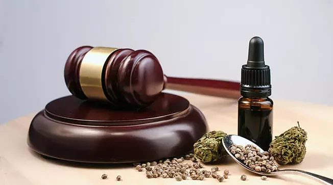 Weed | Pittsburgh City Paper - Vimarsana News