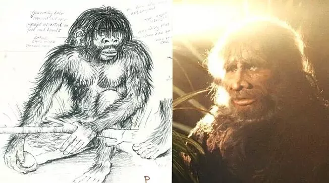 Pitt discovers "bigfoot" found footage movie by George Romero | Screen | Pittsburgh - Vimarsana News