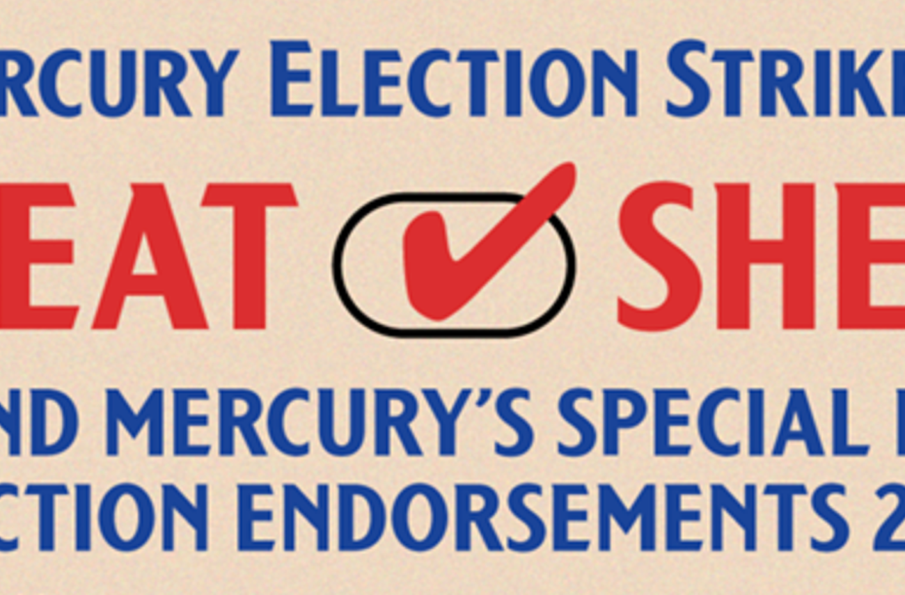 Vote Quick 'n' Easy with the Mercury's May 2023 Endorsements CHEAT