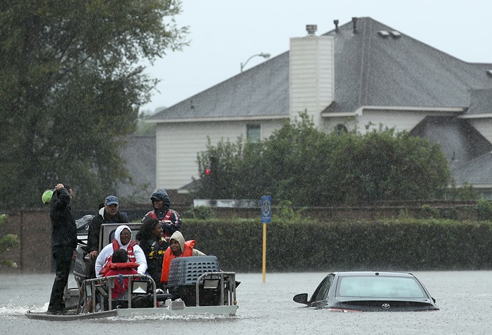 harvey_2.jpg