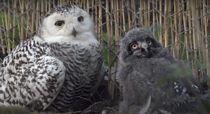 Good Morning, News: Today's Top Owlet, Hurricane Hilary Could Make It Rain on Oregon, and Oregon Nurses Association Claps Back at OHSU / Legacy Merger - Vimarsana News