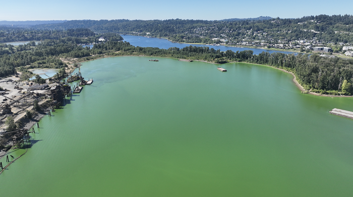 The Willamette River is Full of Green Algae 