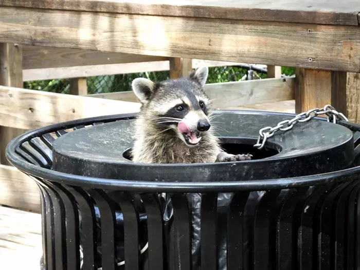 The Trash Report: Clip Show!