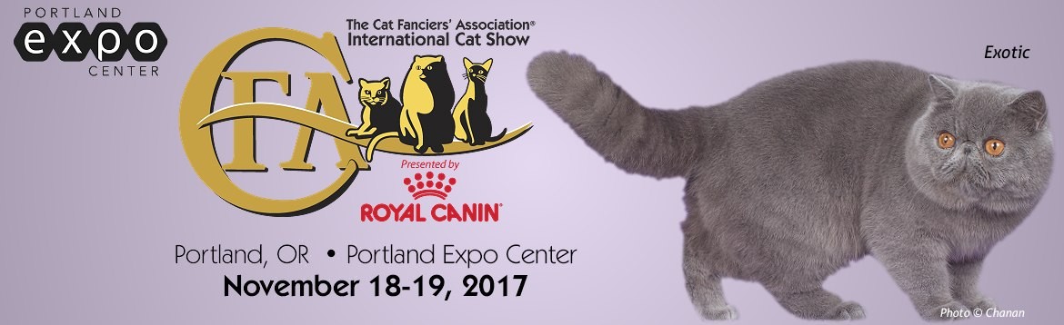 International Cat Show At Portland Expo Center In Portland OR On Sat 