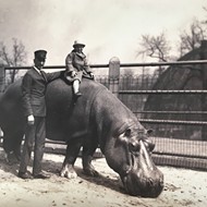 Vintage Photos of the Saint Louis Zoo Reveal How Much Has Changed