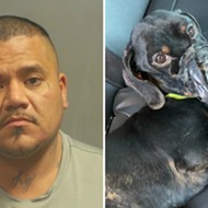 Suspect in Dog Abuse Case Sentenced to 10 Years on Gun Charge