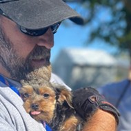 Humane Society of Missouri Rescues Nearly 100 Dogs, Needs St. Louis' Support