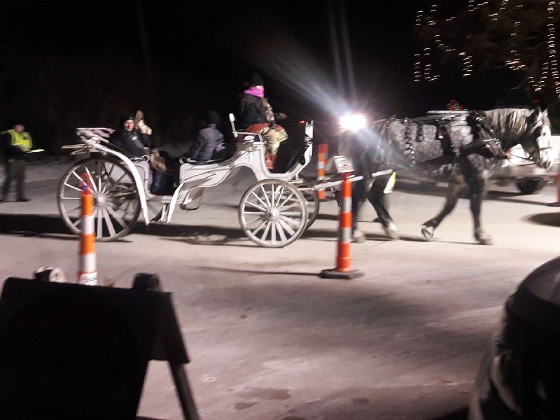 A horse carriage in Tilles Park operated last night in frigid conditions. - PHOTO COURTESY OF DAN KOLDE