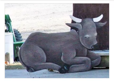 Cow Kidnapped Sheep Decapitated In Brazen Attack Of Hillbilly Nativity Scene News Blog