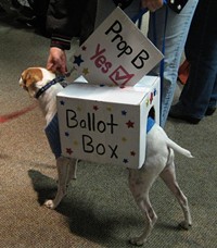 Whose identity did you steal to cast that vote, doggy? - KASE WICKMAN