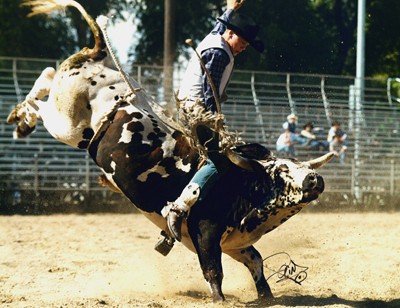 rodeo2.jpg
